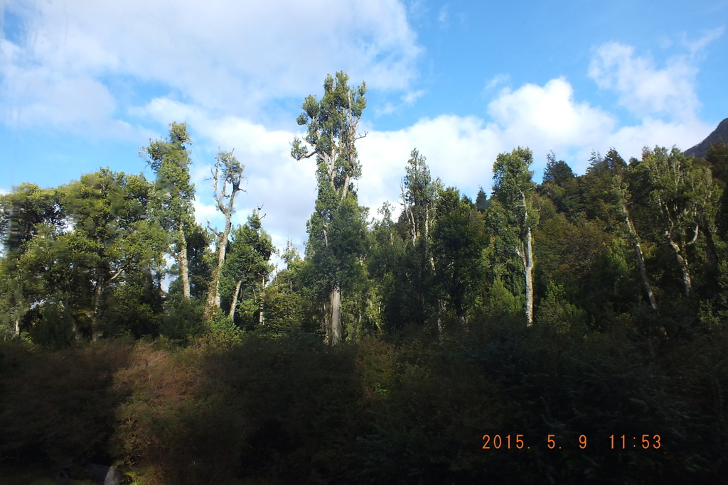 Foto: Carretera Austral - Villa Cerro Castillo (Aisén del General Carlos Ibáñez del Campo), Chile