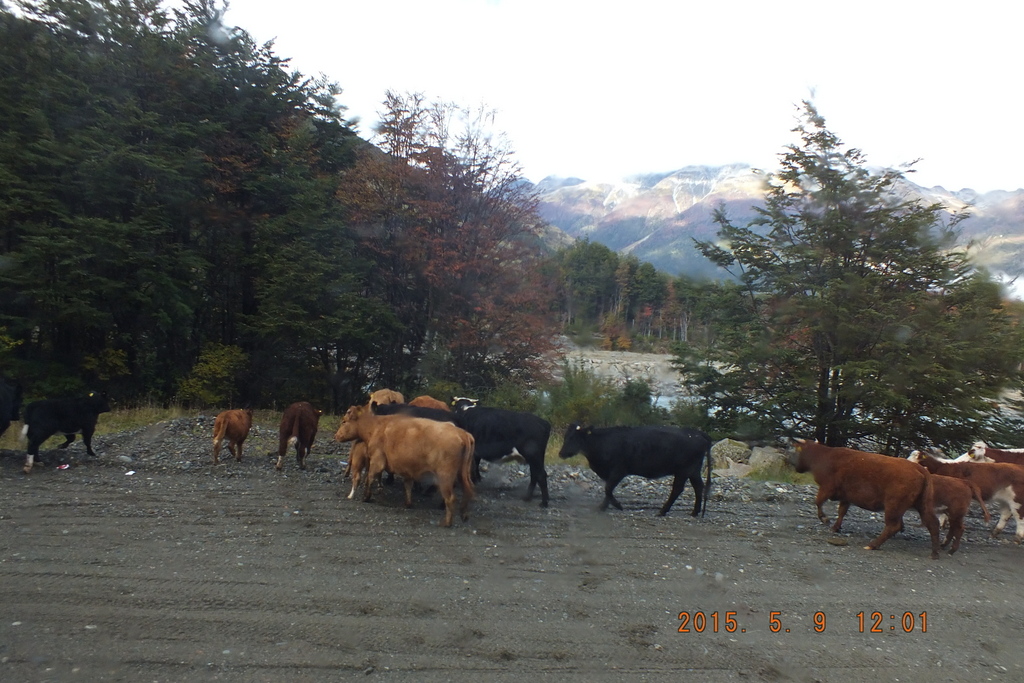 Foto: Carretera Austral - Villa Cerro Castillo (Aisén del General Carlos Ibáñez del Campo), Chile