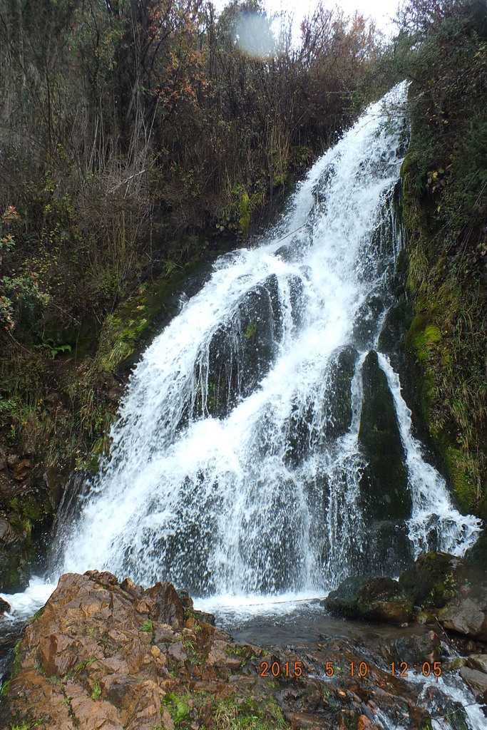 Foto: Coyhaique - Coyhaique (Aisén del General Carlos Ibáñez del Campo), Chile