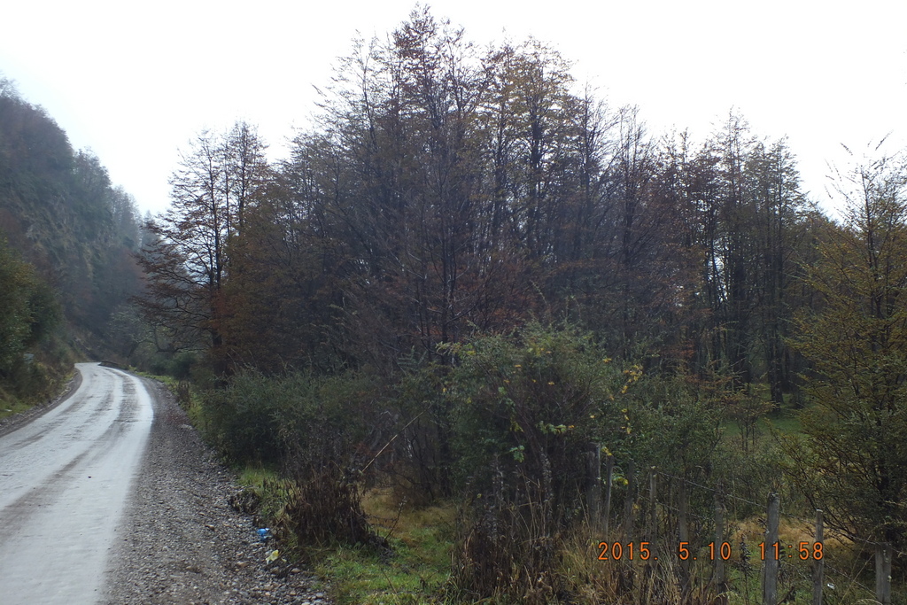 Foto: Coyhaique - Coyhaique (Aisén del General Carlos Ibáñez del Campo), Chile