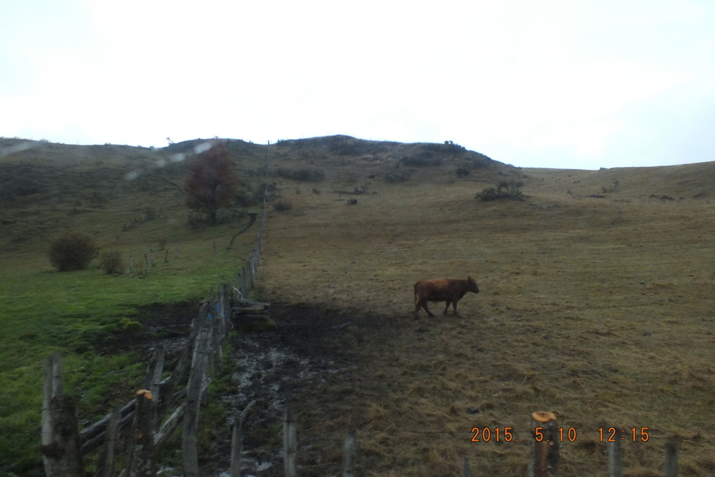 Foto: Coyhaique - Coyhaique (Aisén del General Carlos Ibáñez del Campo), Chile