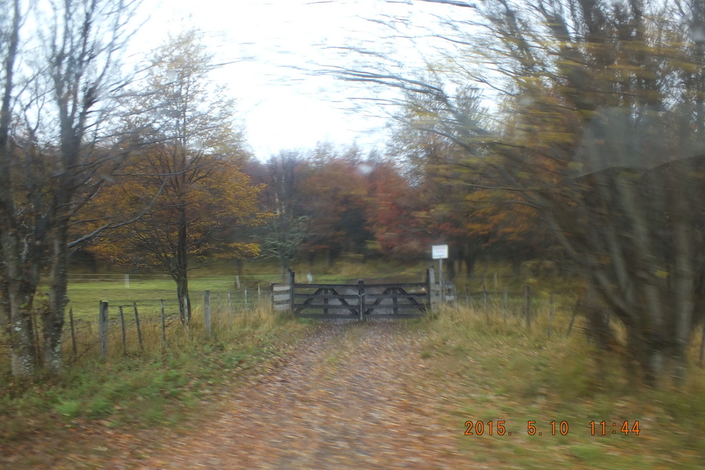 Foto: Coyhaique - Coyhaique (Aisén del General Carlos Ibáñez del Campo), Chile