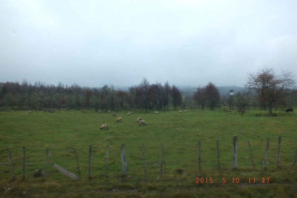 Foto: Coyhaique - Coyhaique (Aisén del General Carlos Ibáñez del Campo), Chile