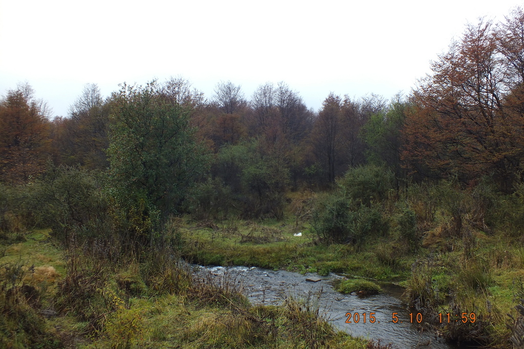 Foto: Coyhaique - Coyhaique (Aisén del General Carlos Ibáñez del Campo), Chile