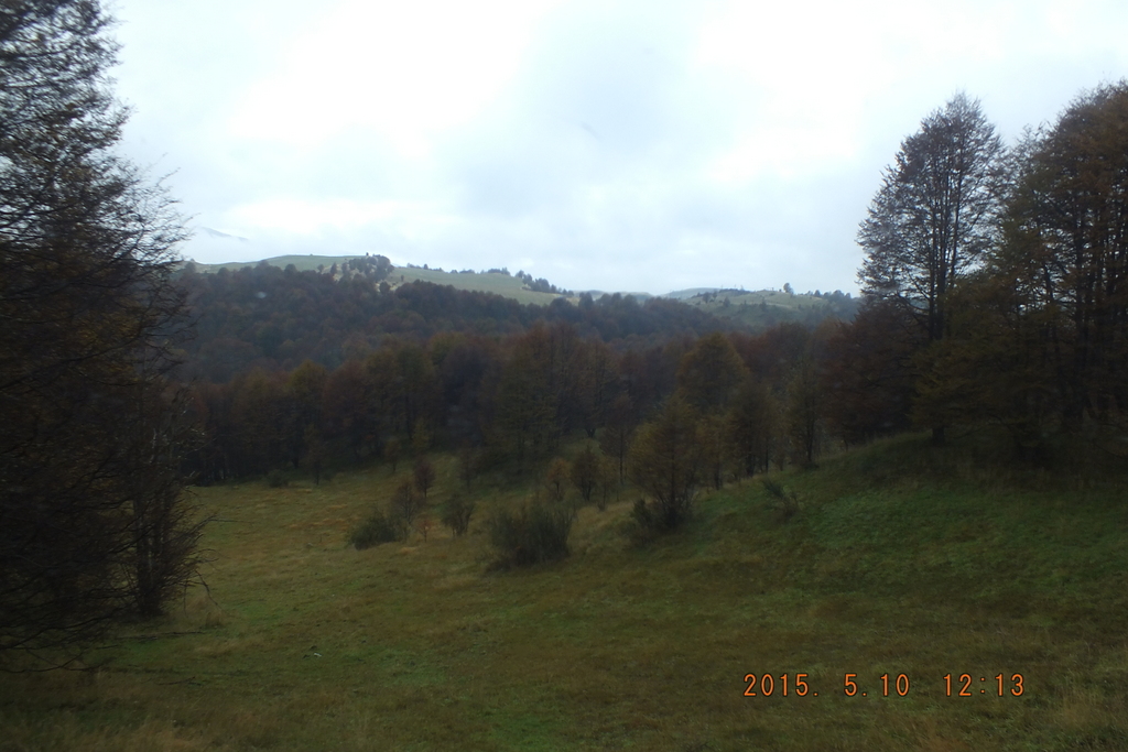 Foto: Coyhaique - Coyhaique (Aisén del General Carlos Ibáñez del Campo), Chile
