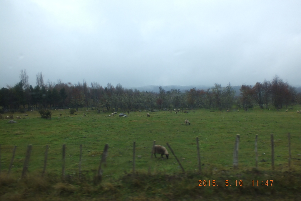 Foto: Coyhaique - Coyhaique (Aisén del General Carlos Ibáñez del Campo), Chile