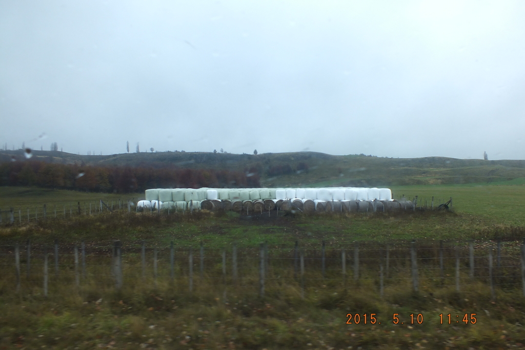 Foto: Coyhaique - Coyhaique (Aisén del General Carlos Ibáñez del Campo), Chile