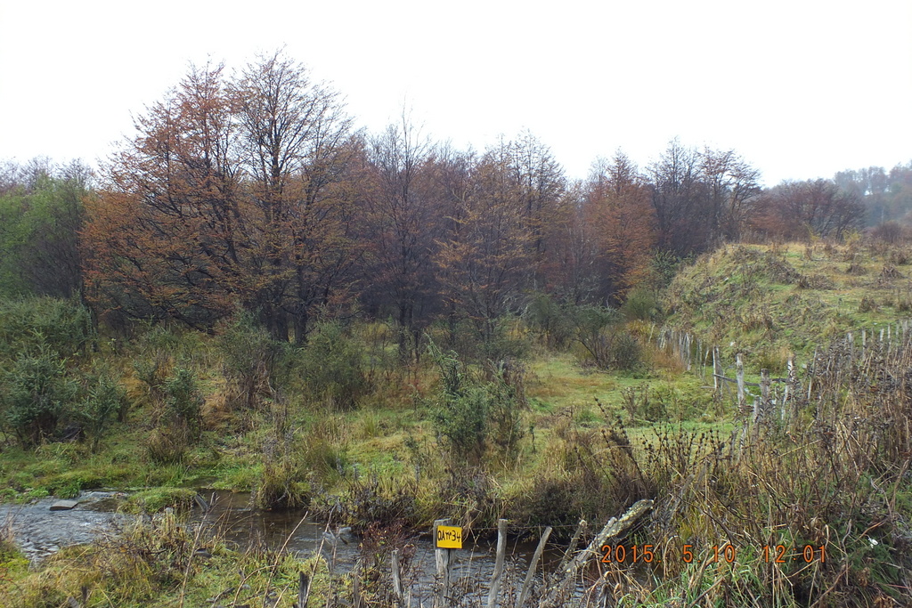 Foto: Coyhaique - Coyhaique (Aisén del General Carlos Ibáñez del Campo), Chile