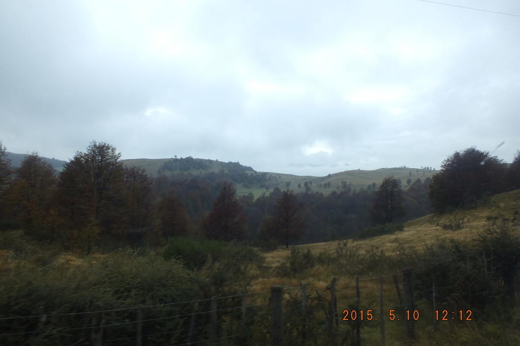 Foto: Coyhaique - Coyhaique (Aisén del General Carlos Ibáñez del Campo), Chile