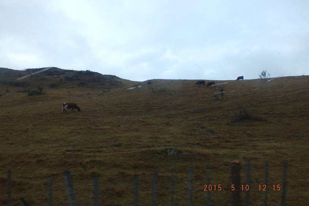 Foto: Coyhaique - Coyhaique (Aisén del General Carlos Ibáñez del Campo), Chile