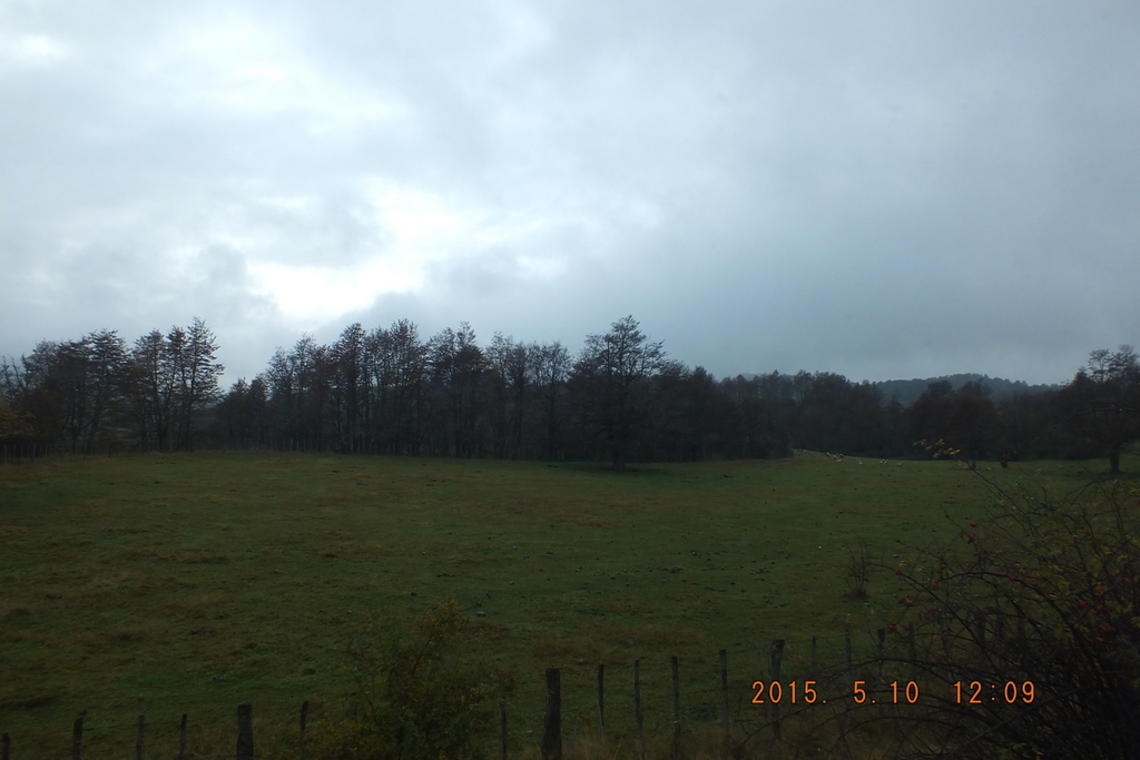 Foto: Coyhaique - Coyhaique (Aisén del General Carlos Ibáñez del Campo), Chile