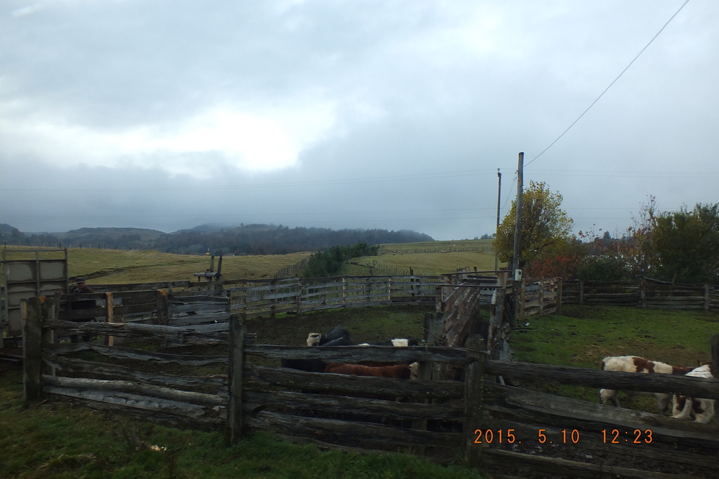 Foto: Coyhaique - Coyhaique (Aisén del General Carlos Ibáñez del Campo), Chile