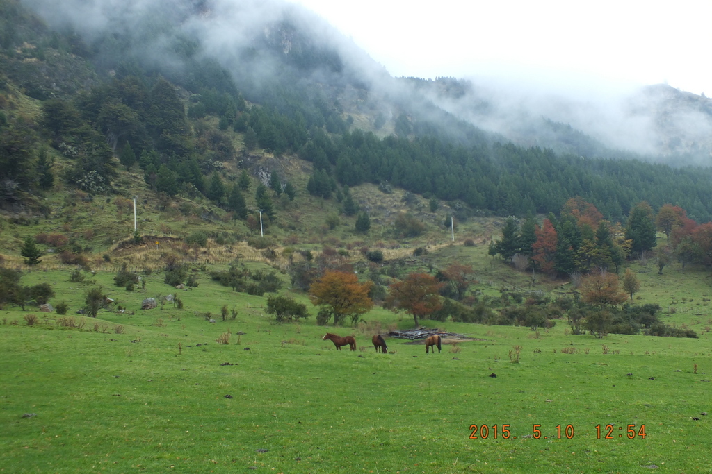Foto: Coyhaique - Coyhaique (Aisén del General Carlos Ibáñez del Campo), Chile