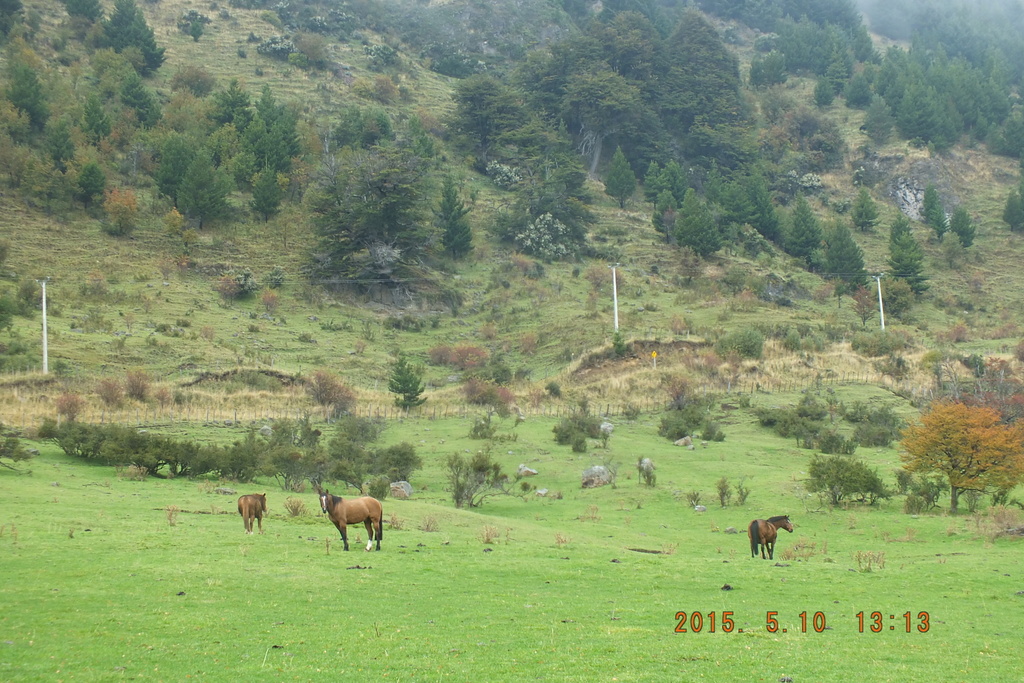 Foto: Coyhaique - Coyhaique (Aisén del General Carlos Ibáñez del Campo), Chile