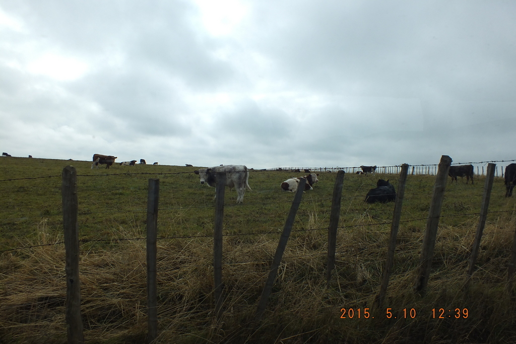 Foto: Coyhaique - Coyhaique (Aisén del General Carlos Ibáñez del Campo), Chile