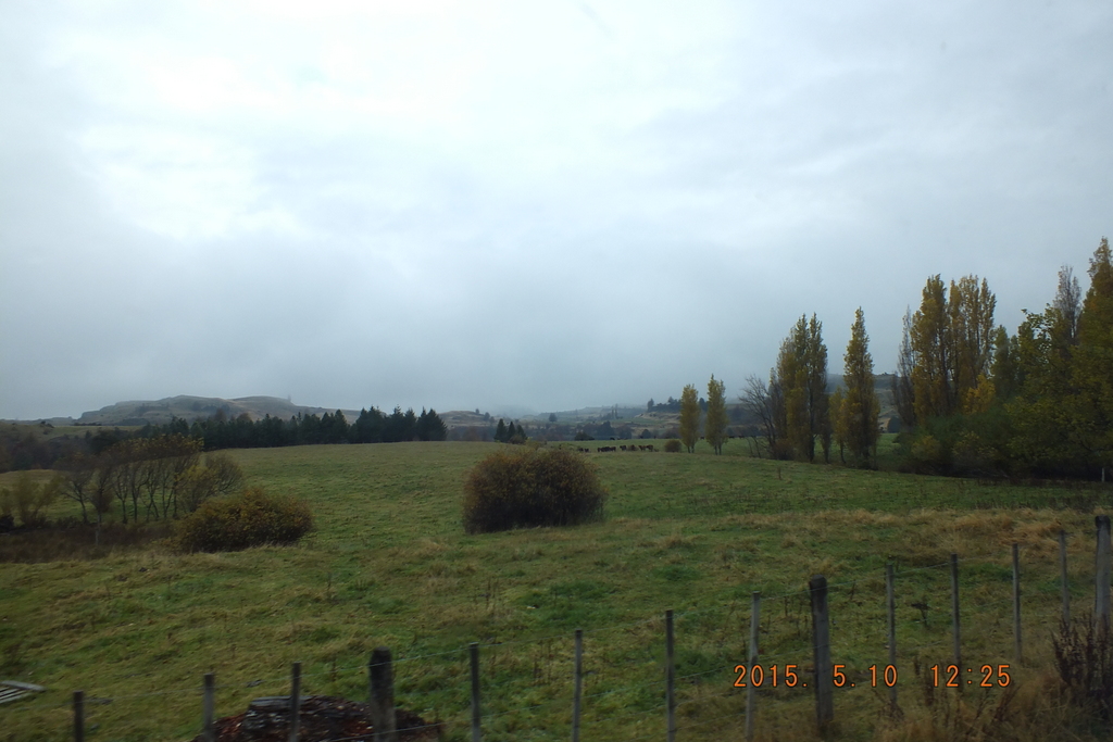 Foto: Coyhaique - Coyhaique (Aisén del General Carlos Ibáñez del Campo), Chile