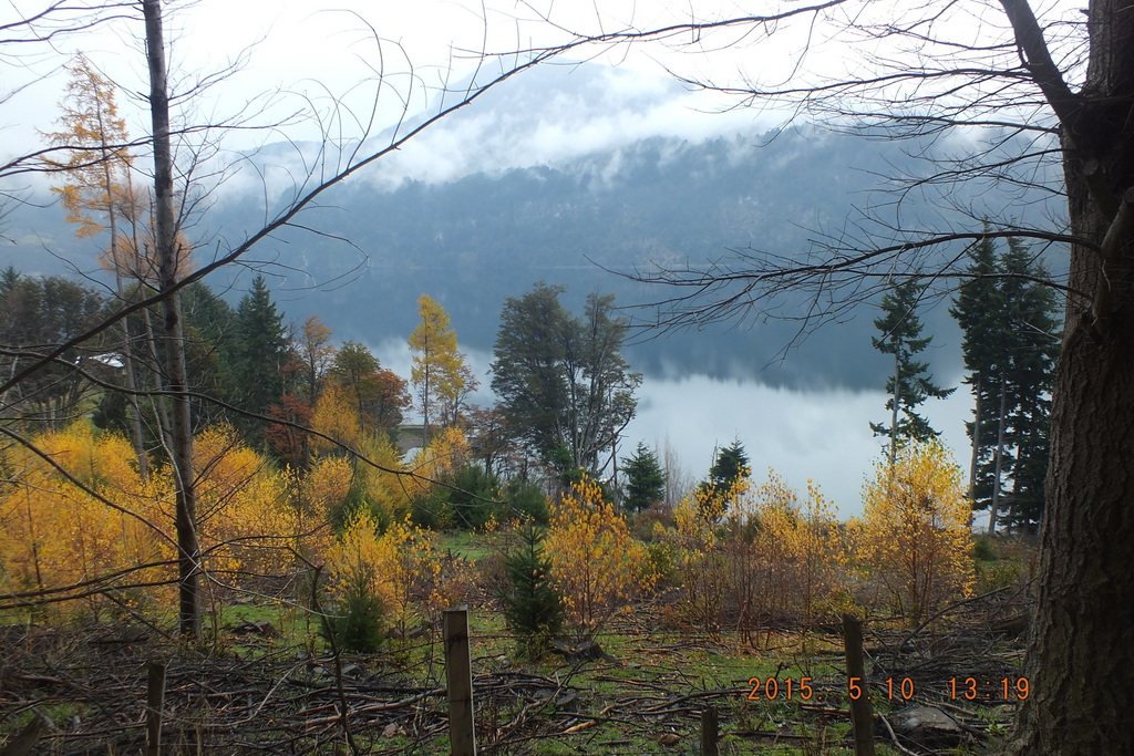 Foto: Coyhaique - Coyhaique (Aisén del General Carlos Ibáñez del Campo), Chile