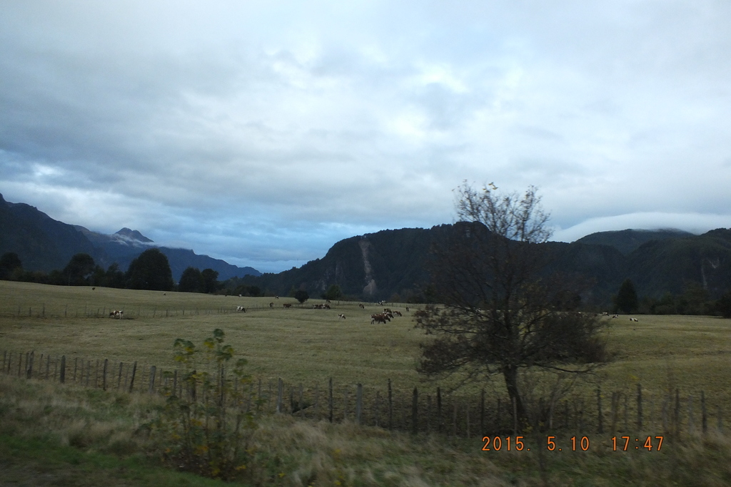 Foto: Carretera Austral - Aysen (Aisén del General Carlos Ibáñez del Campo), Chile