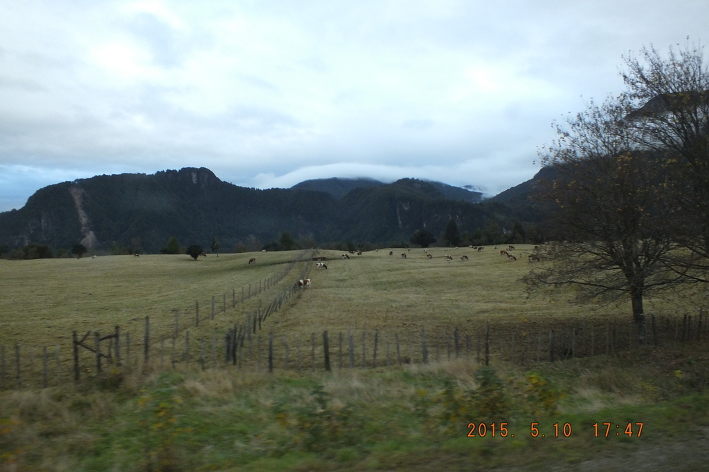 Foto: Carretera Austral - Aysen (Aisén del General Carlos Ibáñez del Campo), Chile