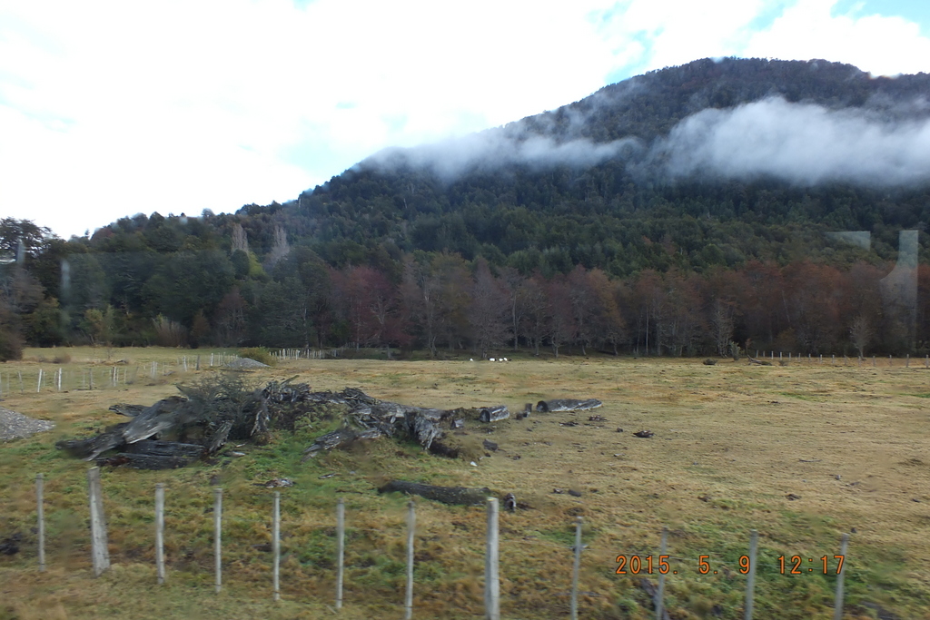 Foto: Carretera Austral - Puerto Tranquilo (Aisén del General Carlos Ibáñez del Campo), Chile