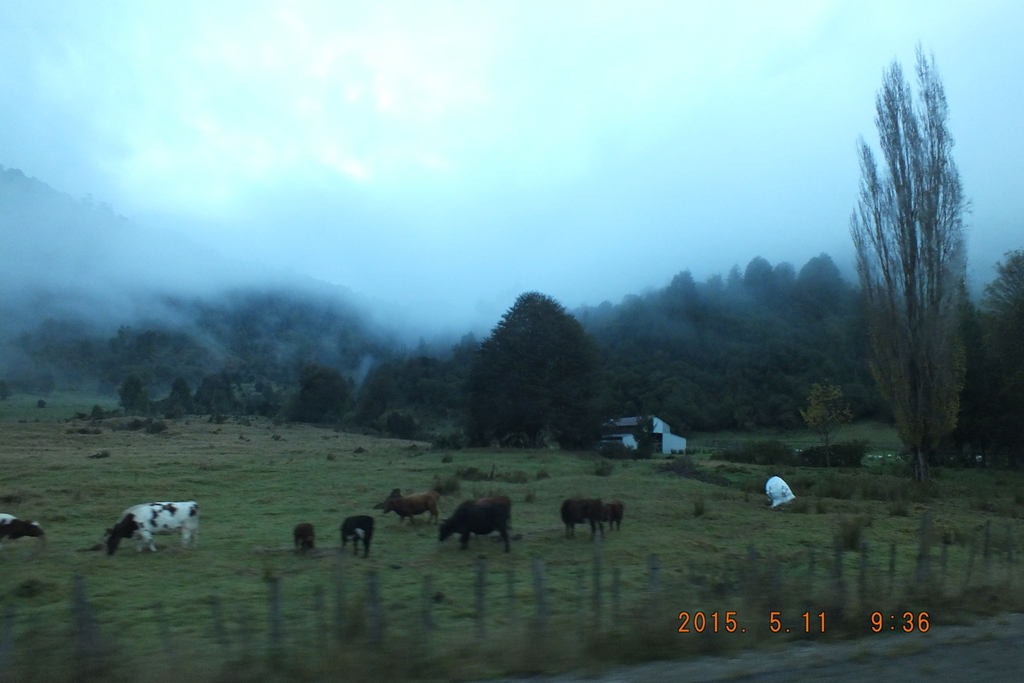 Foto: Carretera Austral - Aysen (Aisén del General Carlos Ibáñez del Campo), Chile