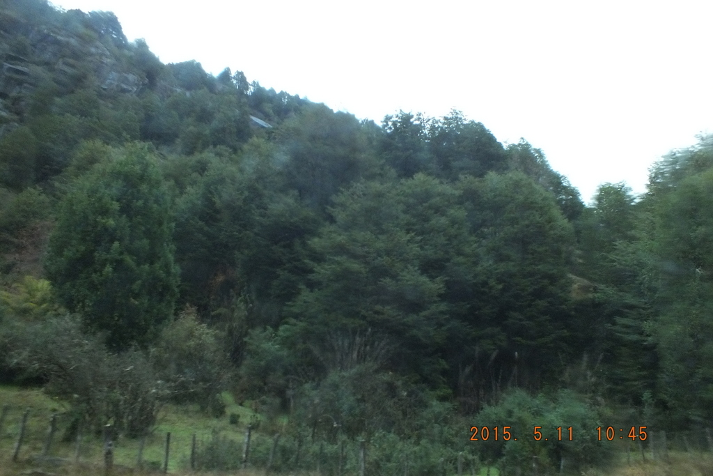 Foto: Carretera Austral - Aysen (Aisén del General Carlos Ibáñez del Campo), Chile
