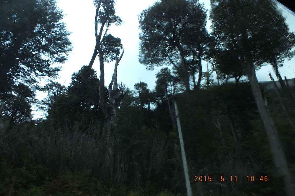 Foto: Carretera Austral - Aysen (Aisén del General Carlos Ibáñez del Campo), Chile