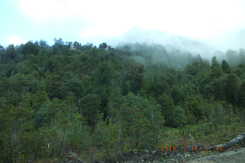 Foto: Carretera Austral - Aysen (Aisén del General Carlos Ibáñez del Campo), Chile
