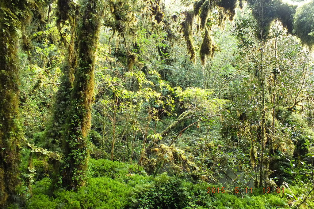Foto: Carretera Austral - Aysen (Aisén del General Carlos Ibáñez del Campo), Chile