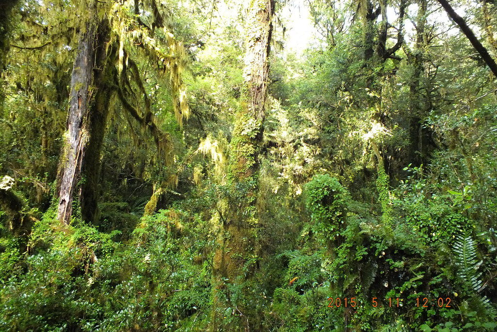 Foto: Carretera Austral - Aysen (Aisén del General Carlos Ibáñez del Campo), Chile