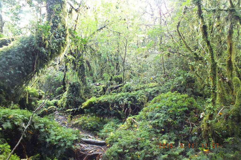 Foto: Carretera Austral - Aysen (Aisén del General Carlos Ibáñez del Campo), Chile