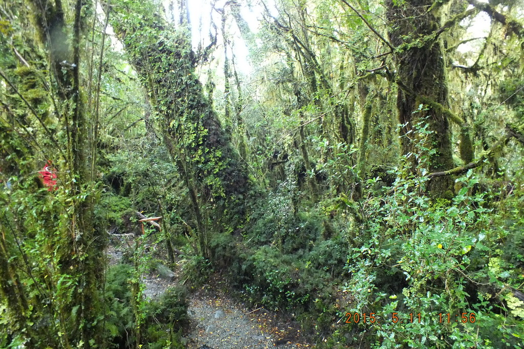 Foto: Carretera Austral - Aysen (Aisén del General Carlos Ibáñez del Campo), Chile