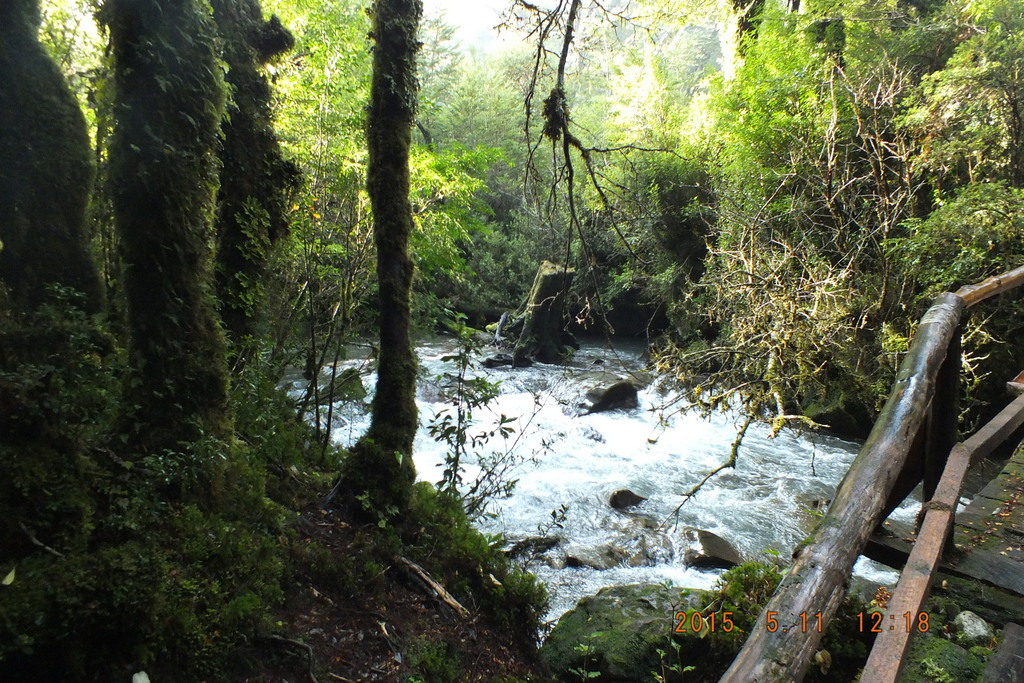 Foto: Carretera Austral - Aysen (Aisén del General Carlos Ibáñez del Campo), Chile