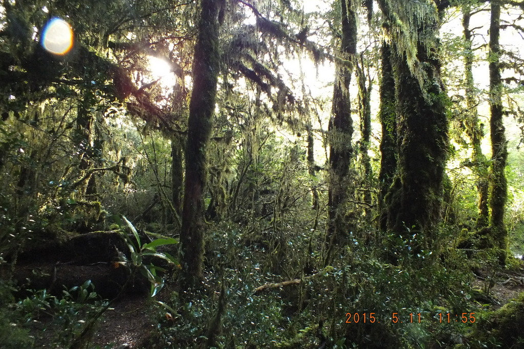 Foto: Carretera Austral - Aysen (Aisén del General Carlos Ibáñez del Campo), Chile