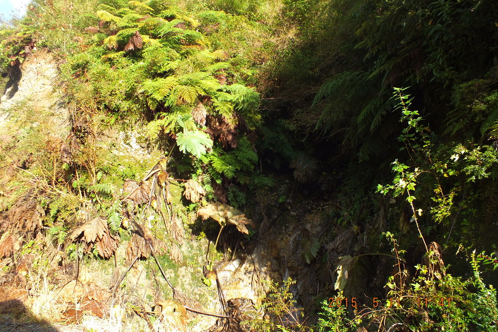 Foto: Carretera Austral - Aysen (Aisén del General Carlos Ibáñez del Campo), Chile