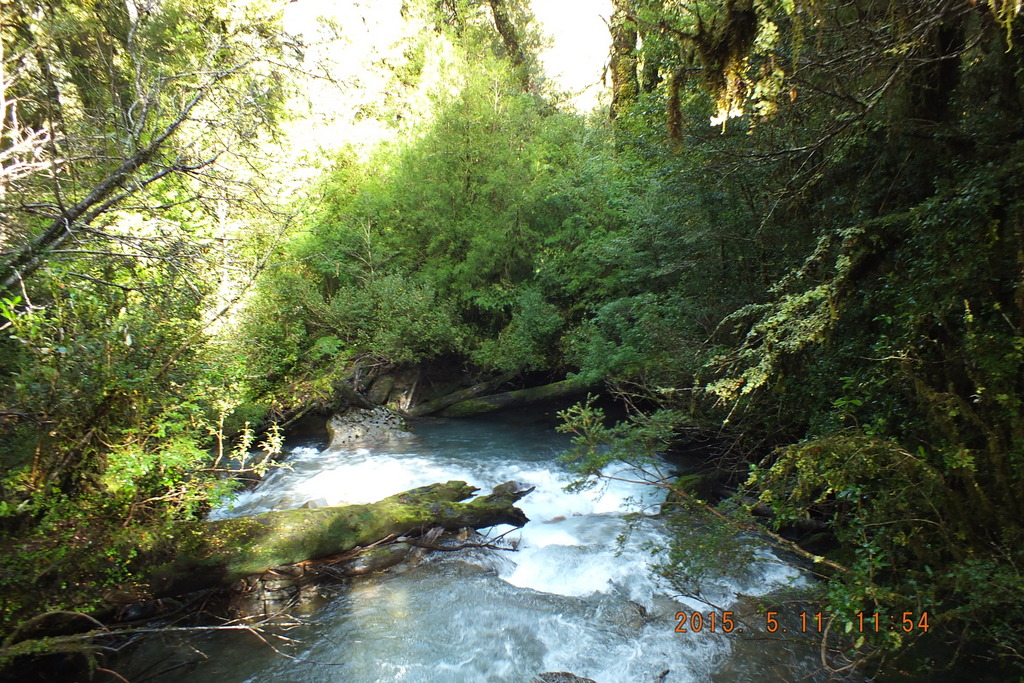 Foto: Carretera Austral - Aysen (Aisén del General Carlos Ibáñez del Campo), Chile