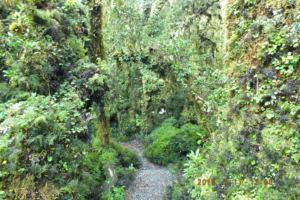 Foto: Carretera Austral - Aysen (Aisén del General Carlos Ibáñez del Campo), Chile