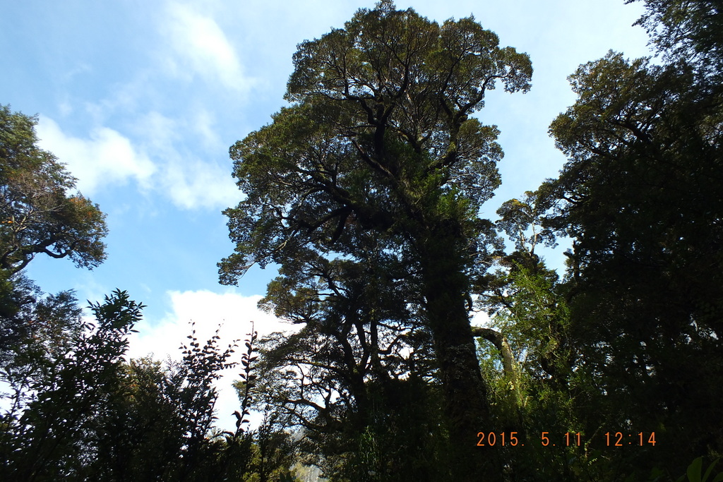 Foto: Carretera Austral - Aysen (Aisén del General Carlos Ibáñez del Campo), Chile