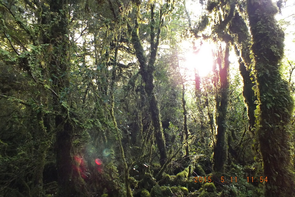 Foto: Carretera Austral - Aysen (Aisén del General Carlos Ibáñez del Campo), Chile
