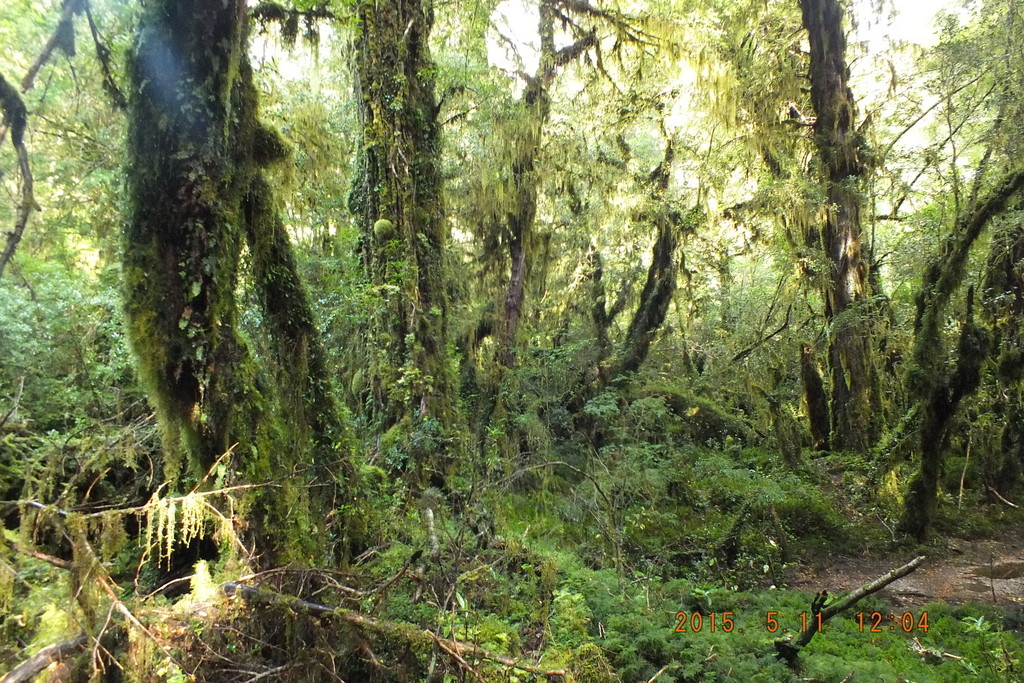 Foto: Carretera Austral - Aysen (Aisén del General Carlos Ibáñez del Campo), Chile