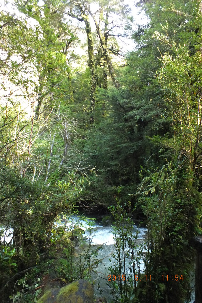 Foto: Carretera Austral - Aysen (Aisén del General Carlos Ibáñez del Campo), Chile