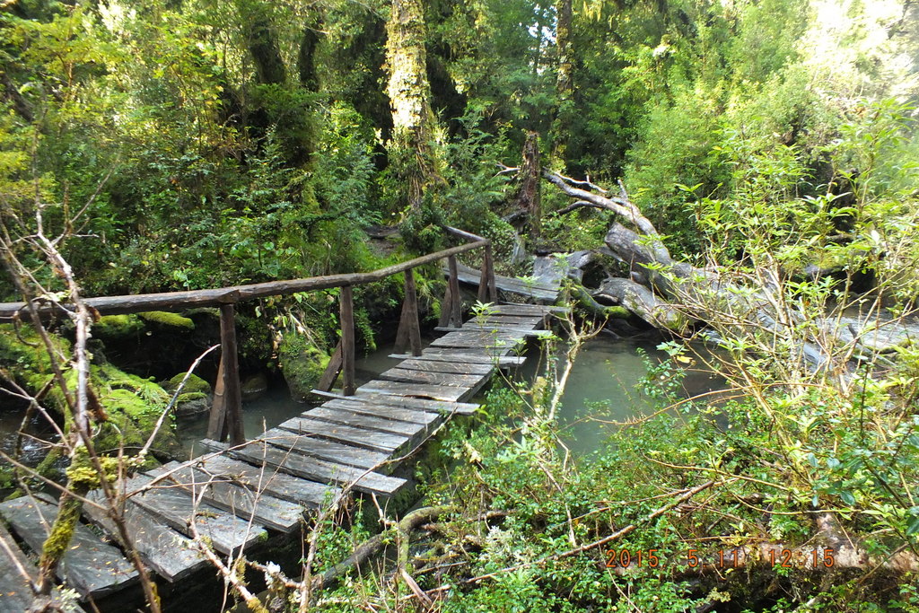 Foto: Carretera Austral - Aysen (Aisén del General Carlos Ibáñez del Campo), Chile