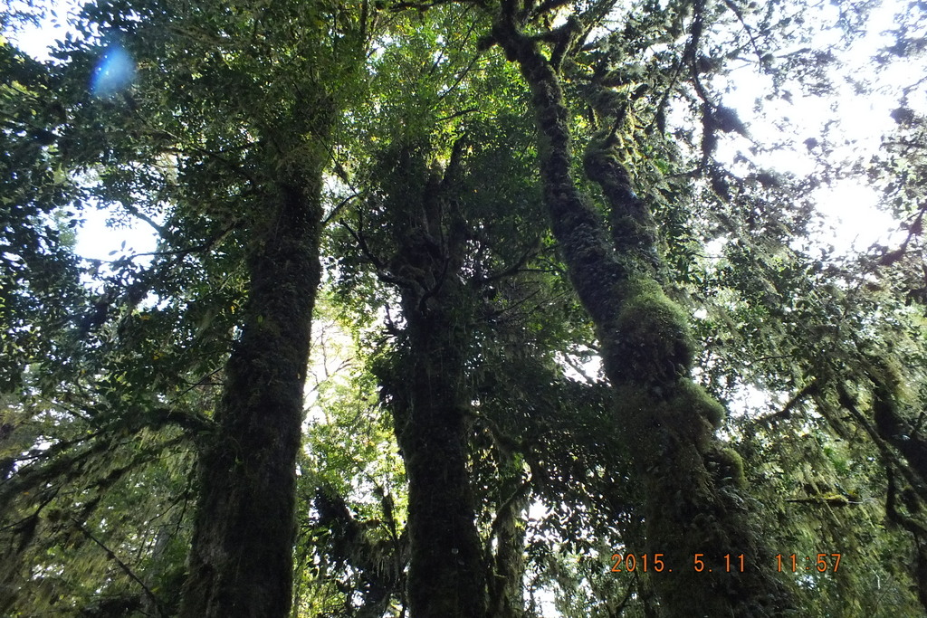 Foto: Carretera Austral - Aysen (Aisén del General Carlos Ibáñez del Campo), Chile