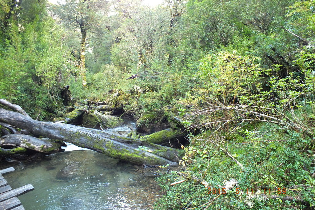 Foto: Carretera Austral - Aysen (Aisén del General Carlos Ibáñez del Campo), Chile