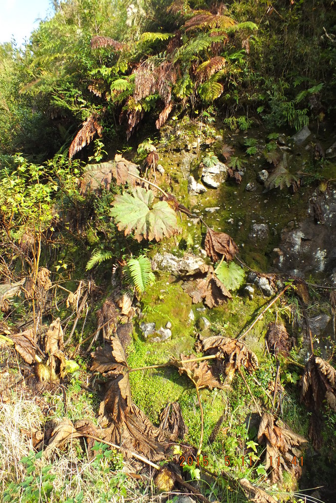 Foto: Carretera Austral - Aysen (Aisén del General Carlos Ibáñez del Campo), Chile