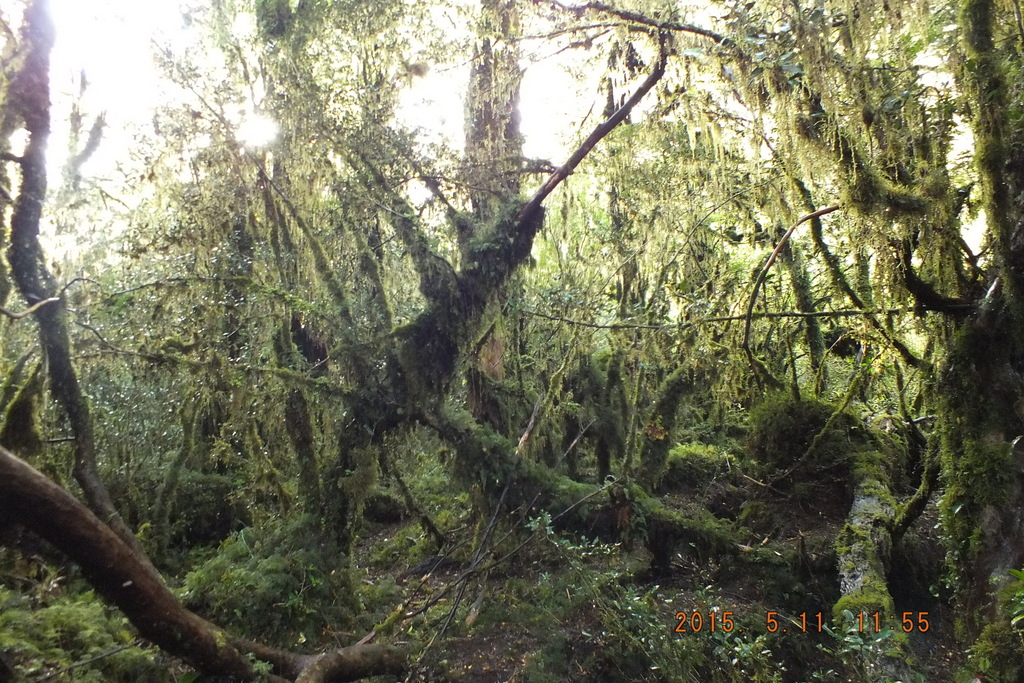 Foto: Carretera Austral - Aysen (Aisén del General Carlos Ibáñez del Campo), Chile