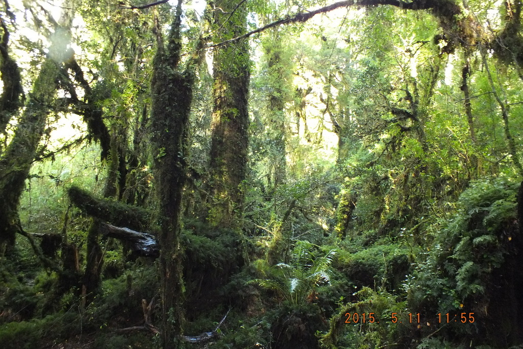 Foto: Carretera Austral - Aysen (Aisén del General Carlos Ibáñez del Campo), Chile