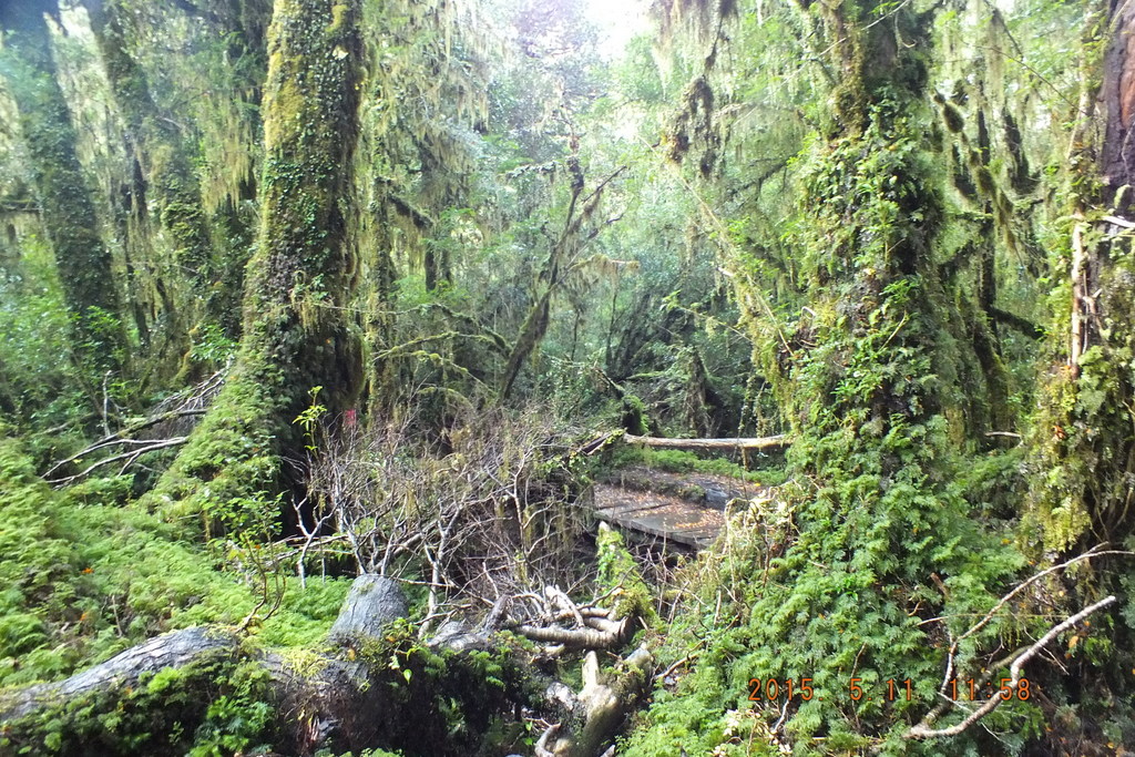Foto: Carretera Austral - Aysen (Aisén del General Carlos Ibáñez del Campo), Chile