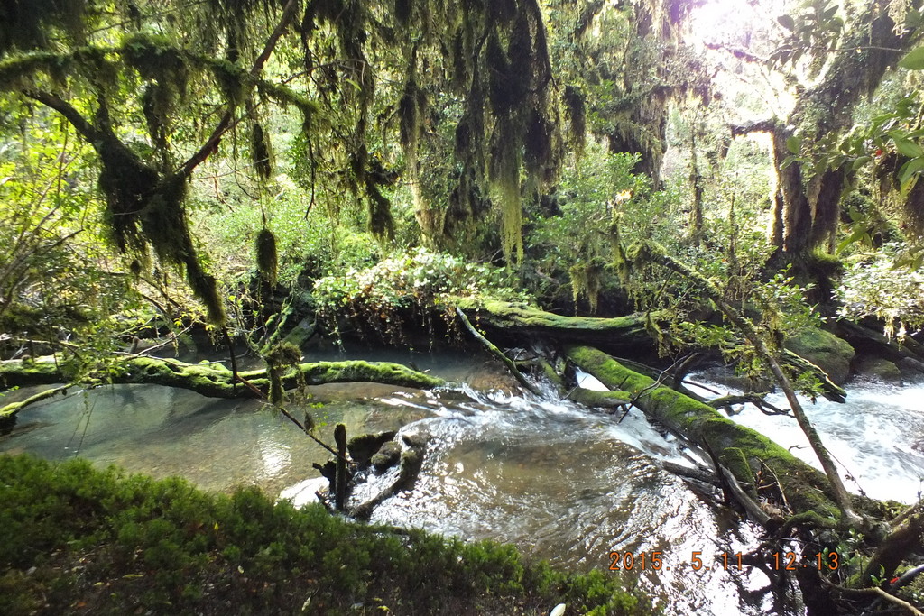 Foto: Carretera Austral - Aysen (Aisén del General Carlos Ibáñez del Campo), Chile