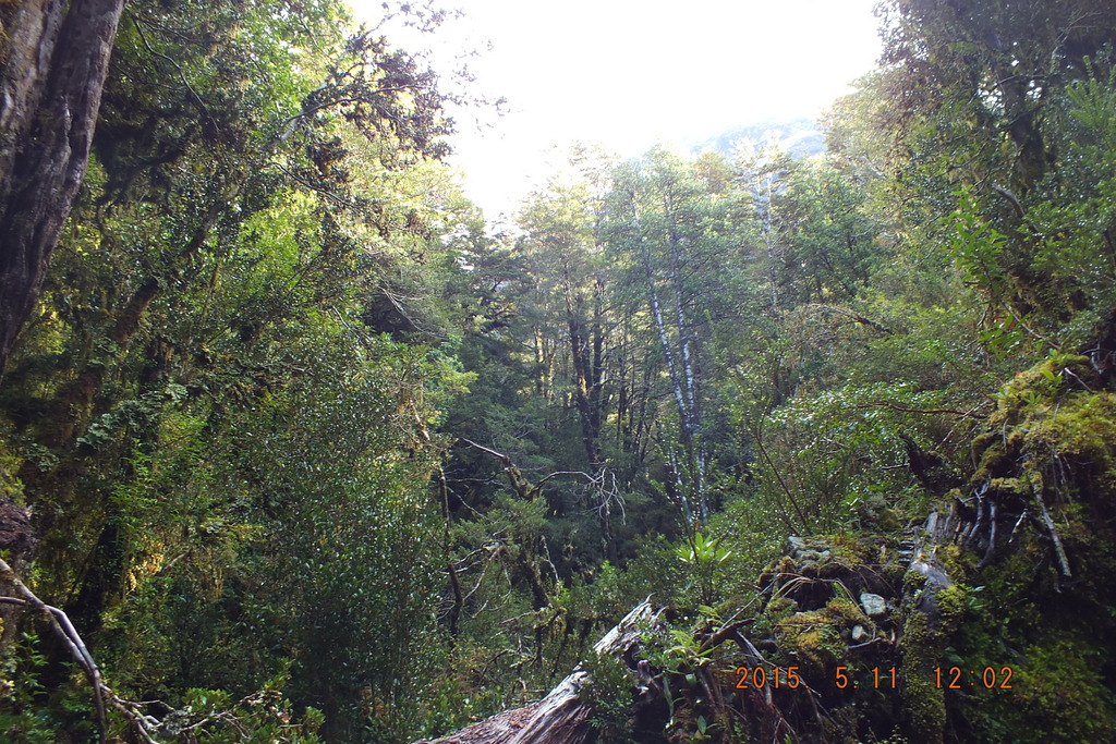Foto: Carretera Austral - Aysen (Aisén del General Carlos Ibáñez del Campo), Chile